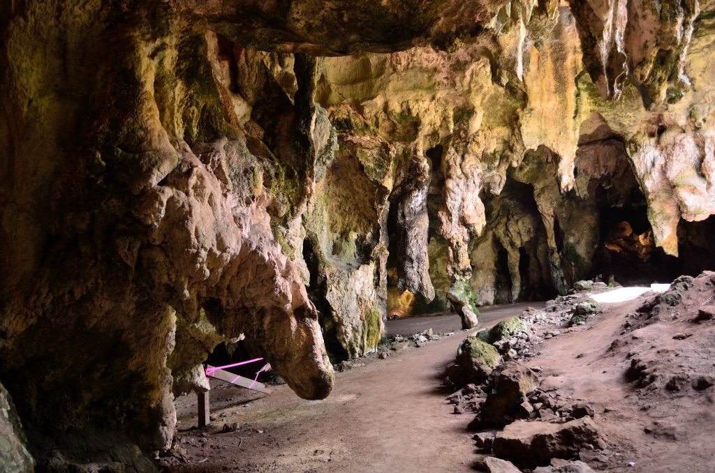 Naracoorte Caves