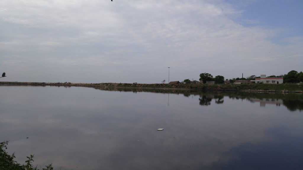 Cooum , Chennai River