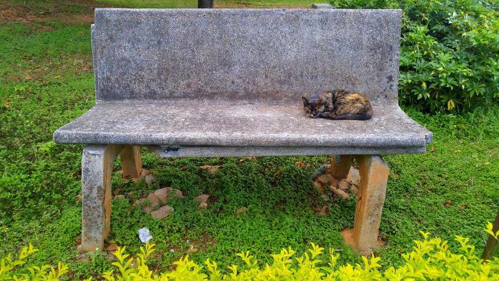 Bangalore, watch tower