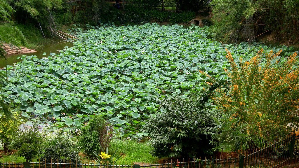 Lalbagh, Bangalore, watch tower