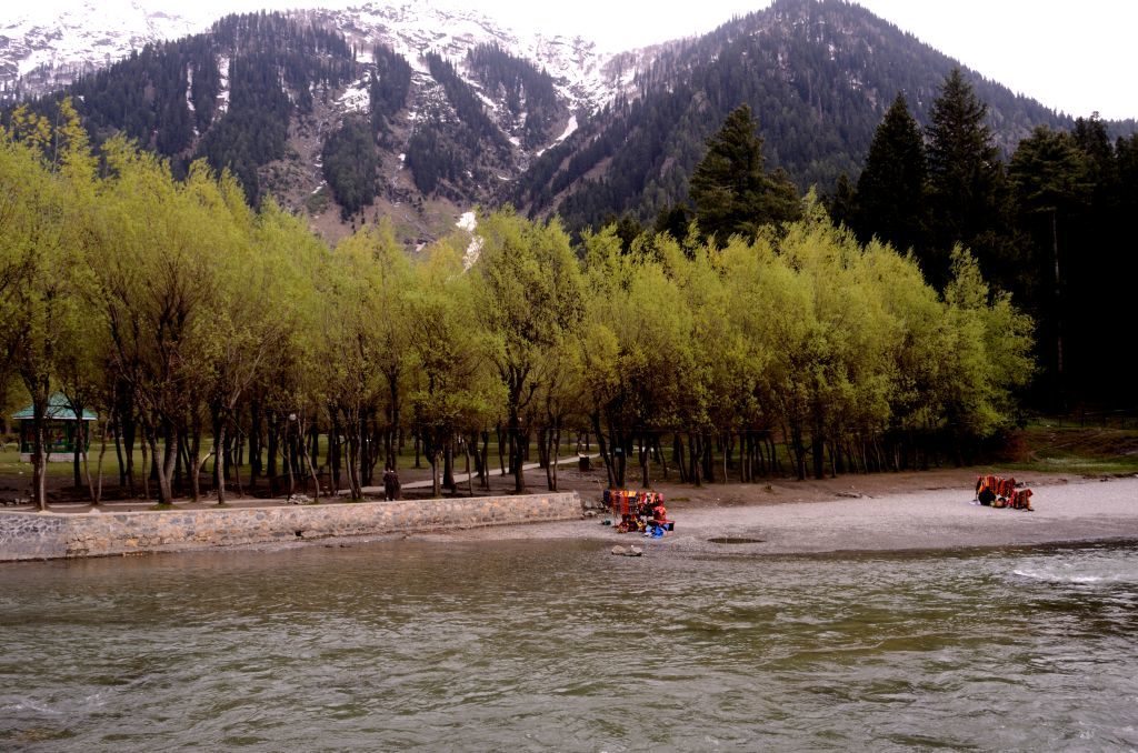 Kashmir