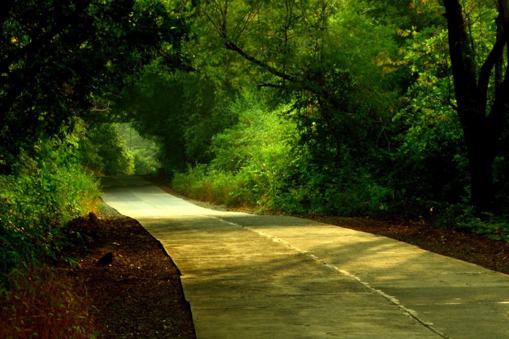 Mumbai, greenery
