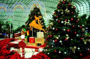 Christmas , Singapore, Christmas Wonderland, Gardens by the Bay
