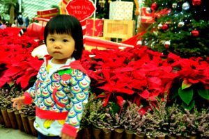 Singapore, Christmas Wonderland