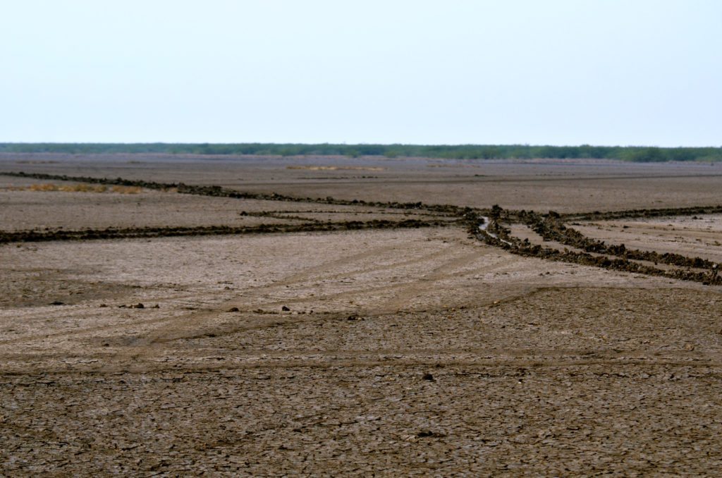 LRK, Rann , Gujarat