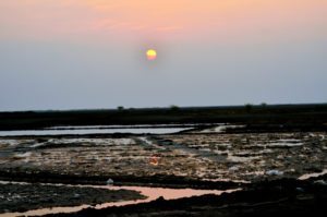 LRK, GUjarat, salt farms