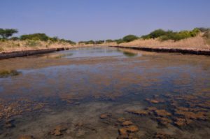 Lothal, Indus Valley, Ahmedabad