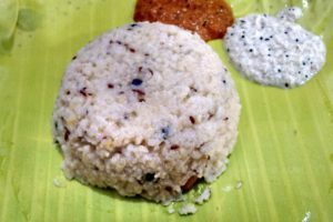 Pongal, Tamil Nadu, harvest festival, India
