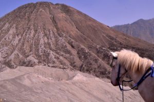 Mt Bromo