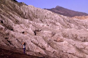 A closer look at the landscape