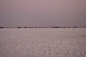 White Rann