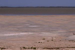 Limestone-coast-coorong-national-park