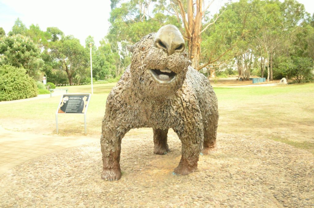 Limestone-coast-naracoorte