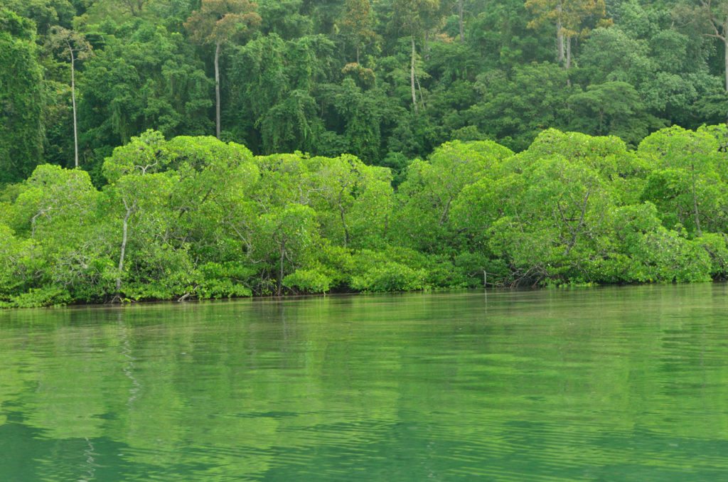 Andamans- Havelock-islands