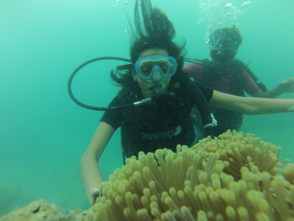 Andamans Havelock snorkeling