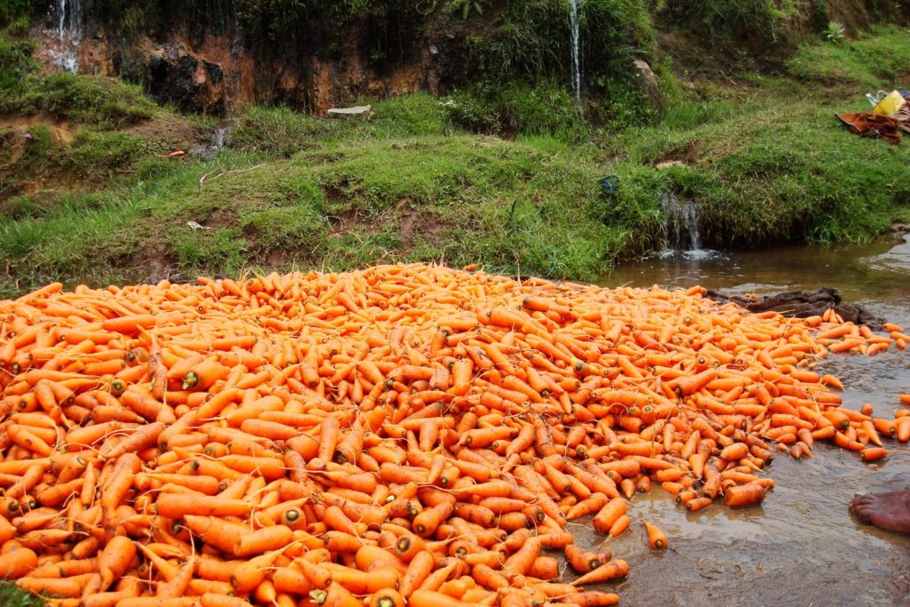 Mannavanur Kodaikanal 