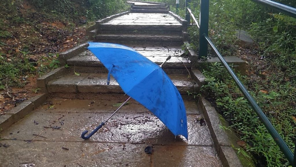 Monsoons, Western Ghats, Karnataka