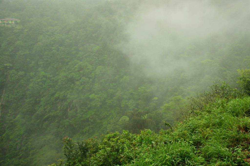 travel, road trip, monsoons, mist, western ghats