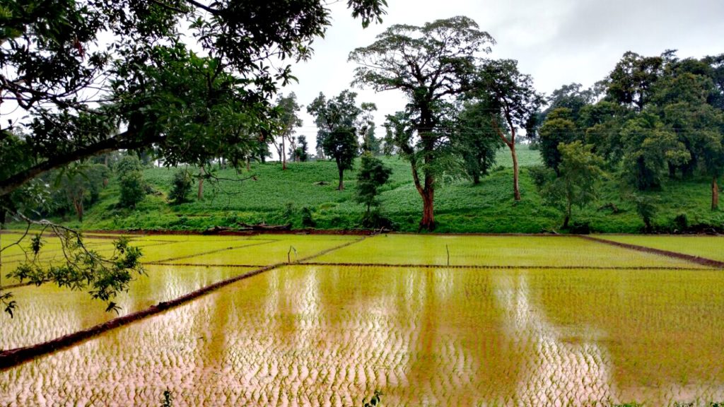 Road trip Karnataka Western Ghats Renault Lodgy