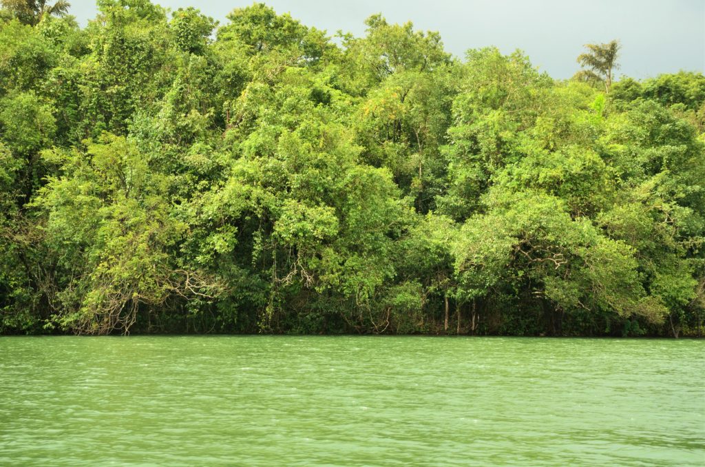 Sharavati, boat ride, river, western ghats