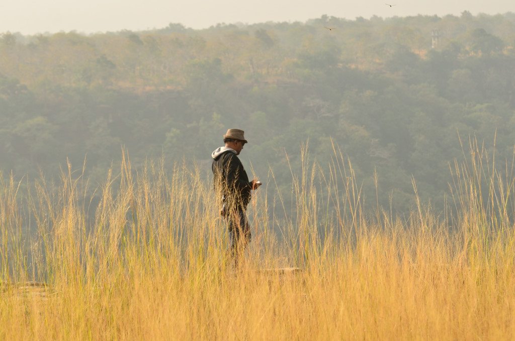 Madhya Pradesh, things to visit in Madhya Pradesh, Panna National Park