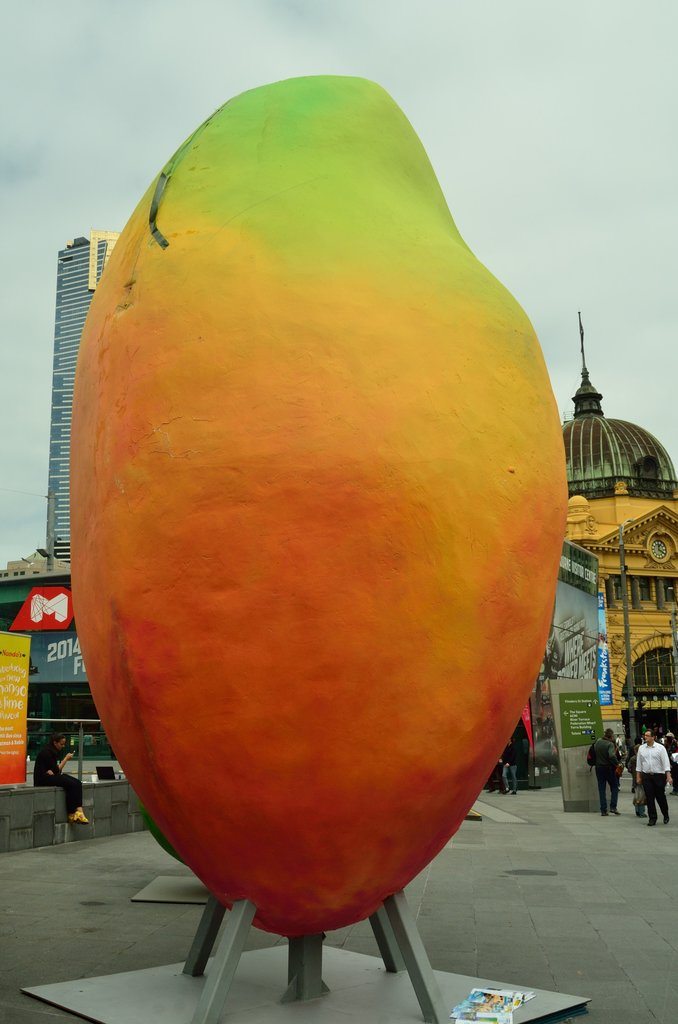 Walking tours of Melbourne