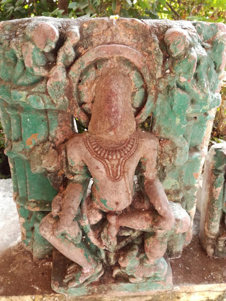 Rewa, white tiger of Rewa