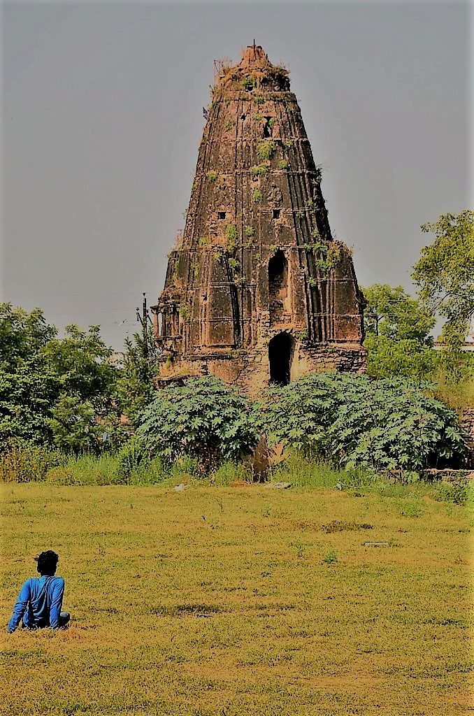 Rewa, white tiger of Rewa