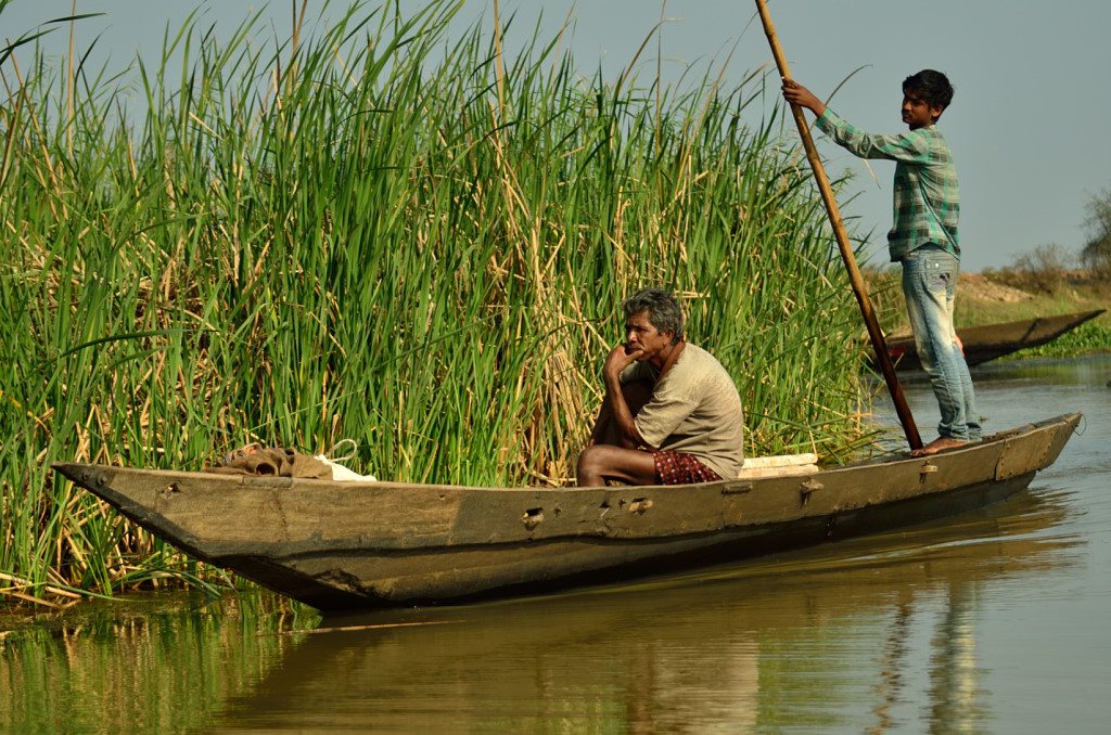 Odisha Mangalajodi bird watching
